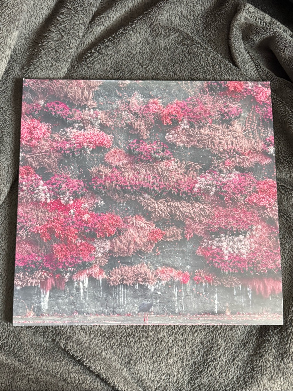 Even In Arcadia Feathered Host Vinyl